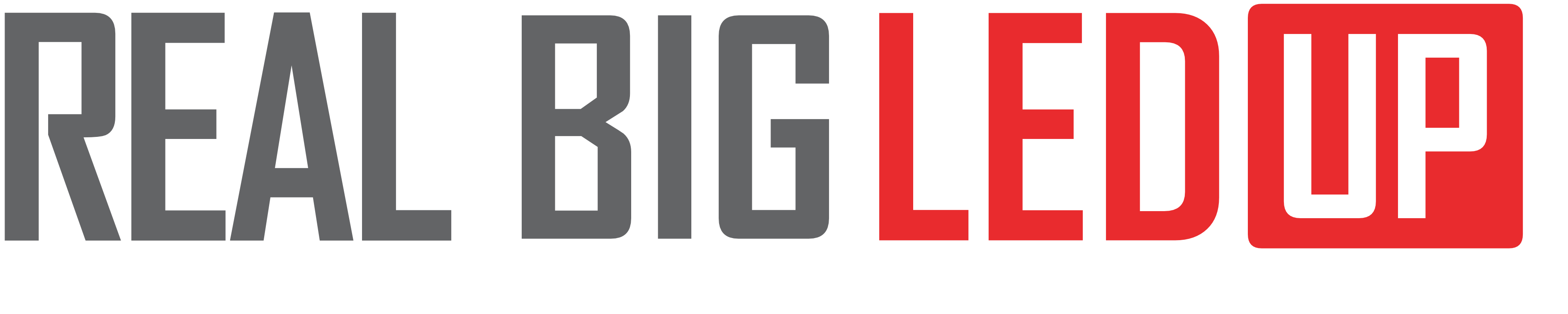 REAL BIG LEDUP